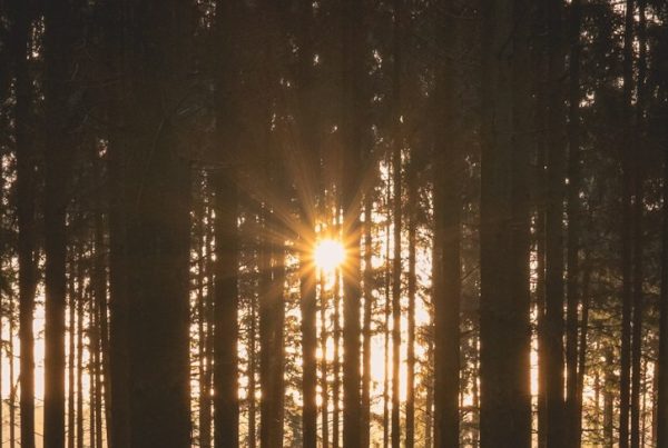Tillväxt MyCopilot